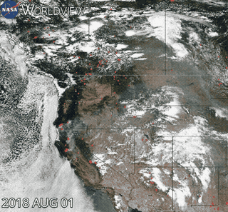 Animated satellite images show the progression of wildfire smoke plumes.