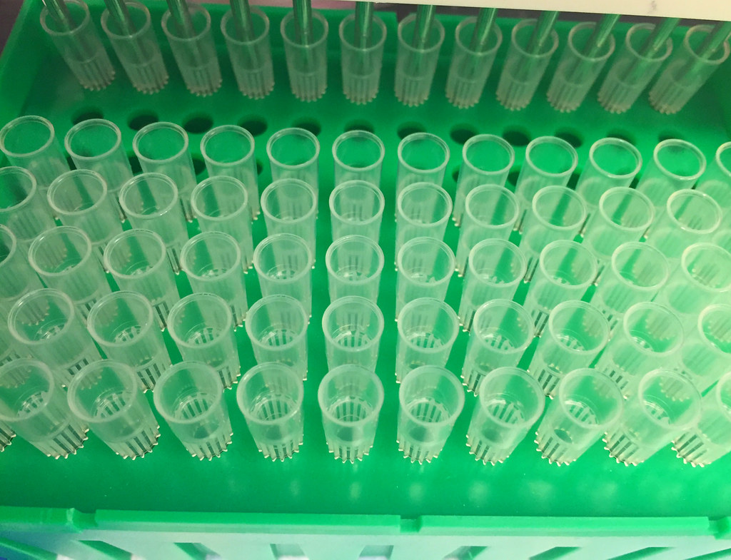 pipette tips in a tray